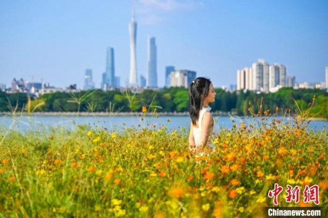 海珠湖花海_广州海珠湖的花_