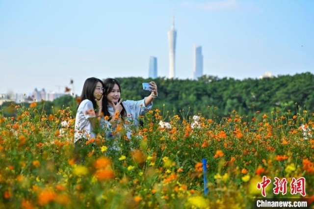 海珠湖花海_广州海珠湖的花_