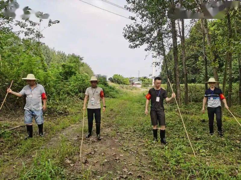 闻“汛”而动 福建武夷山青年筑起“青春堤坝”