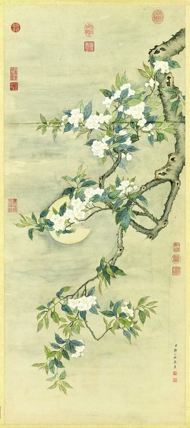 名花珍果异时新——读《花果小品（增订本）》