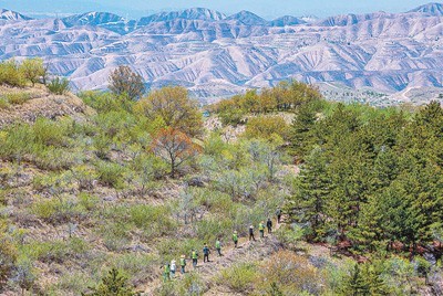 甘肃榆中县贡井林场五批职工扎根山间——