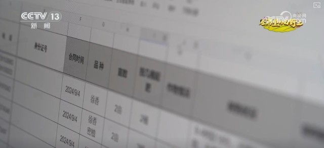 好“丰”景里的年轻力量 新农人在猕猴桃园追梦_好“丰”景里的年轻力量 新农人在猕猴桃园追梦_