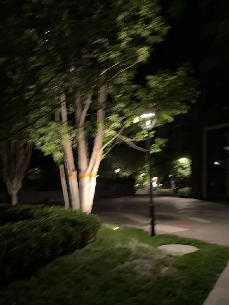 数字生命卡兹克公众号