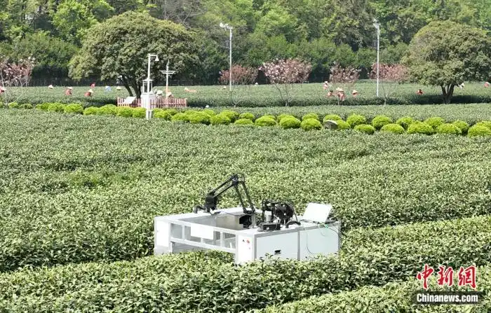 东西问｜闵卫东：东西方在人工智能领域有何交流空间？